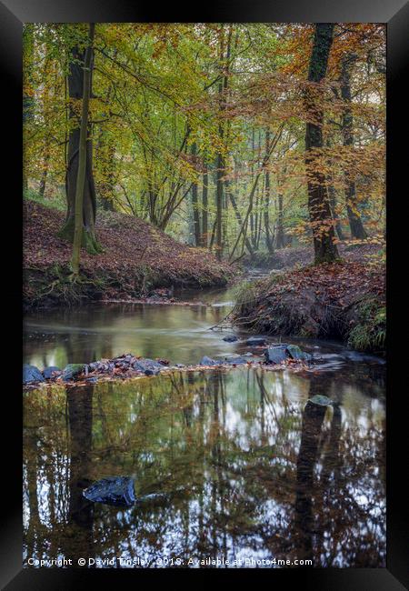 Autumn along the Brook - 2 Framed Print by David Tinsley