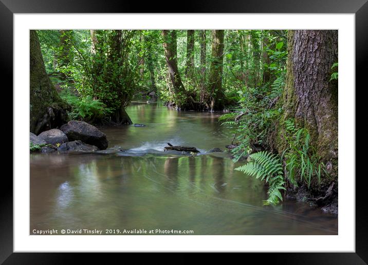 Flowing Through Framed Mounted Print by David Tinsley