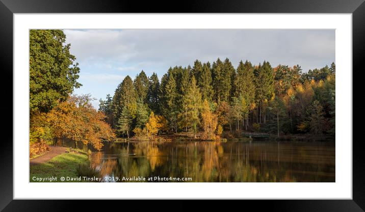 Early Autumn Reflections Framed Mounted Print by David Tinsley