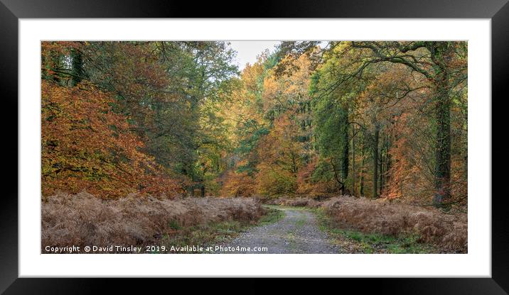 Towards Wenchford Framed Mounted Print by David Tinsley