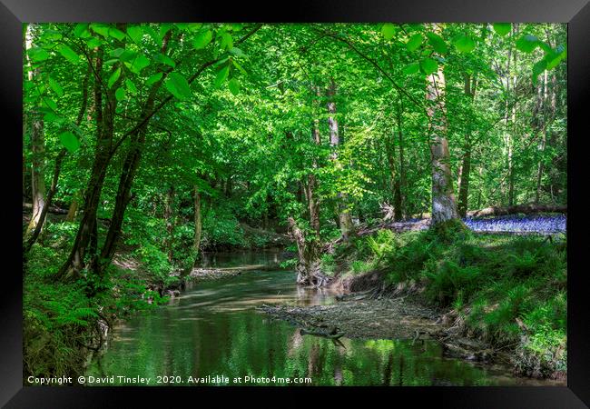 Spring  Reflections Framed Print by David Tinsley