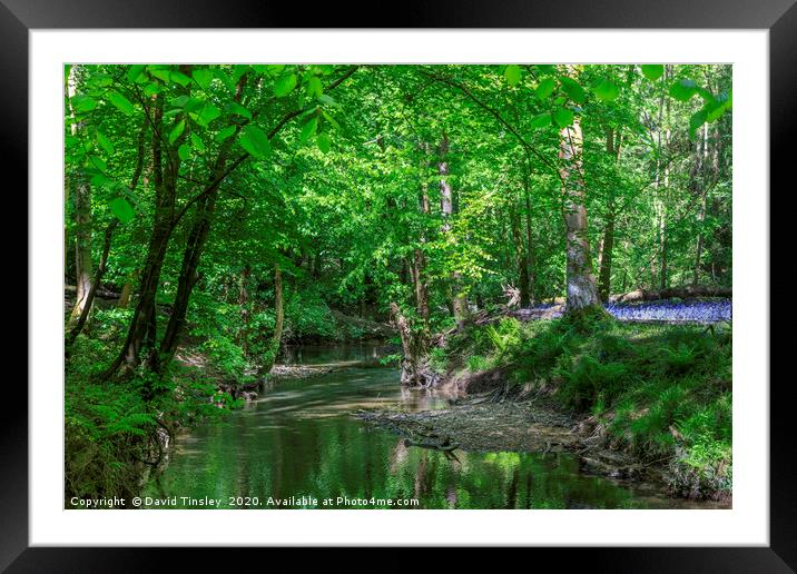 Spring  Reflections Framed Mounted Print by David Tinsley
