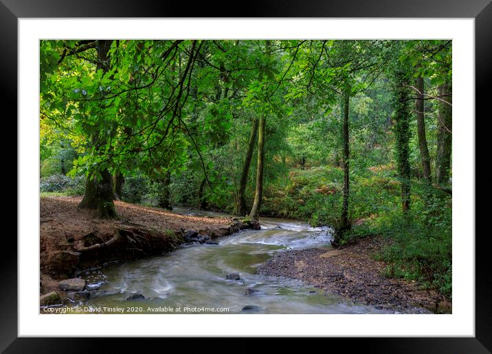 Early Autumn Brook No.2 Framed Mounted Print by David Tinsley