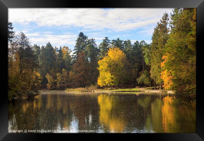 Late Autumn Reflections Framed Print by David Tinsley