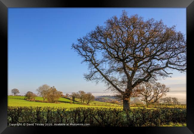 Towards the Severn No. 2 Framed Print by David Tinsley