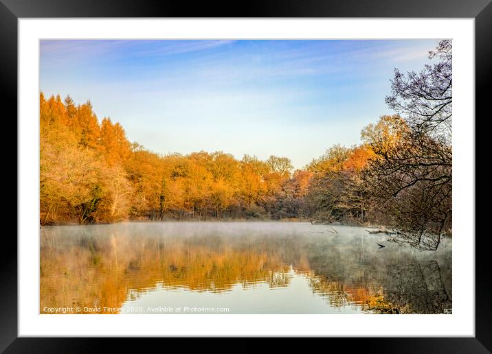 Late Autumn at Cannop No.2 Framed Mounted Print by David Tinsley
