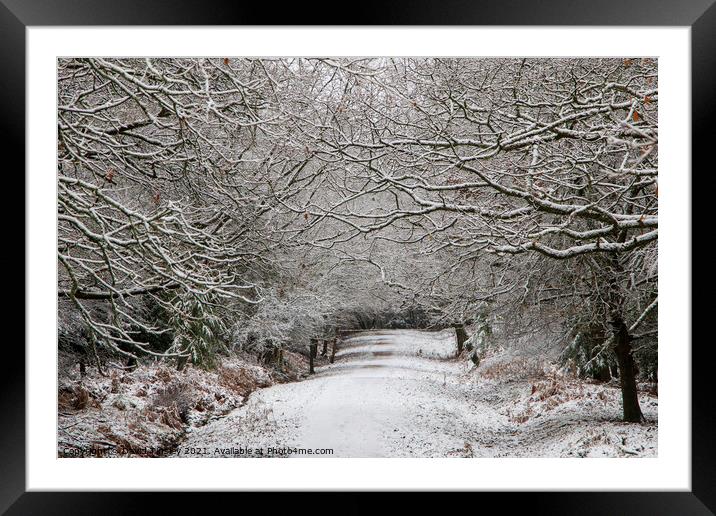 Snowy Woodland Walk No.8 Framed Mounted Print by David Tinsley
