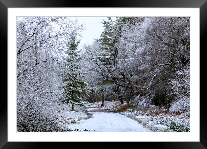 Snowy Woodland Walk No.1 Framed Mounted Print by David Tinsley