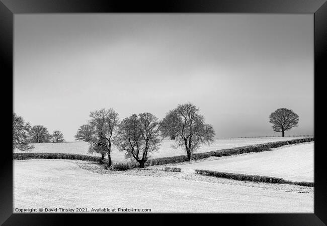 Snowy Oak Landscape Framed Print by David Tinsley