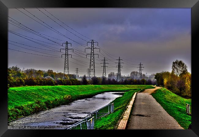 Talk Talk Framed Print by Wayne Baillie