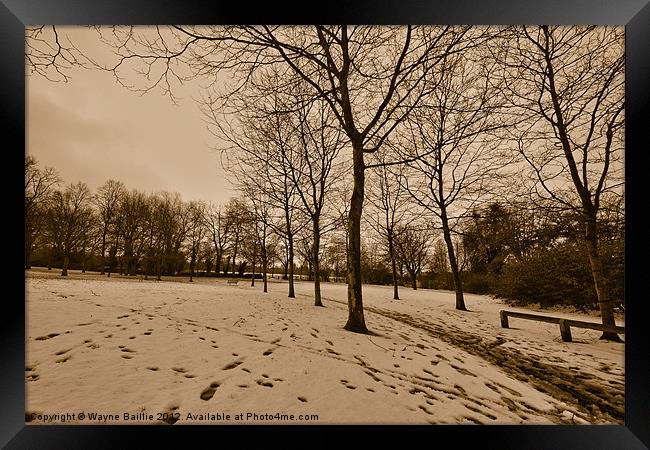 Footsteps Framed Print by Wayne Baillie