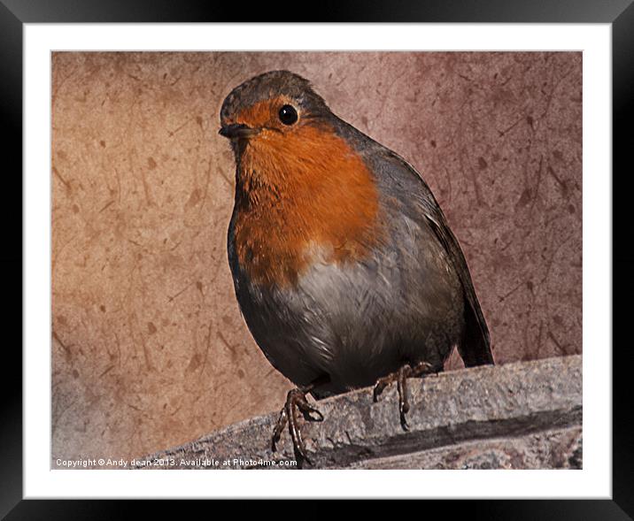 Robin & Texture Framed Mounted Print by Andy dean