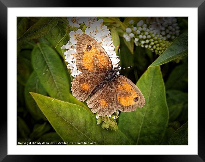 The gatekeeper Framed Mounted Print by Andy dean