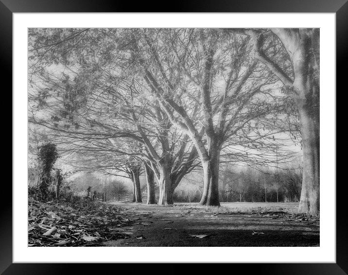 Beneath the trees Framed Mounted Print by Andy dean
