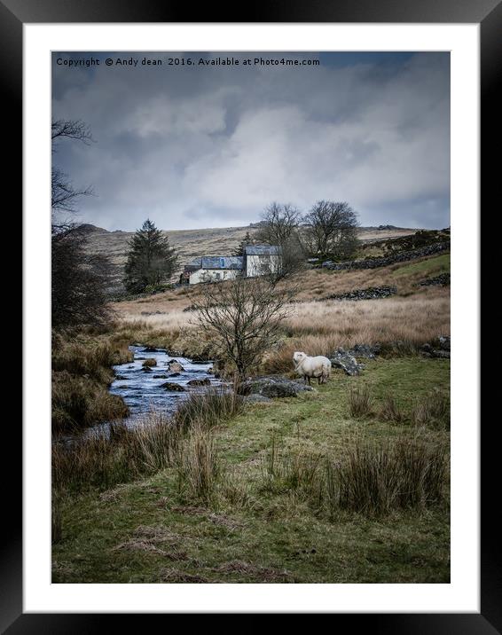 Moorland beauty Framed Mounted Print by Andy dean