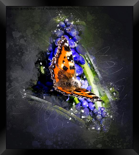 Butterfly in spring Framed Print by Andy dean