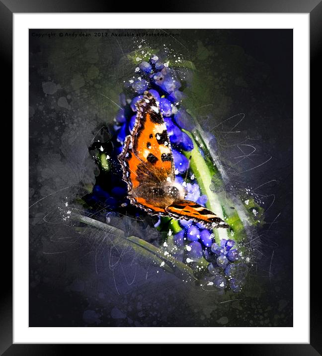 Butterfly in spring Framed Mounted Print by Andy dean