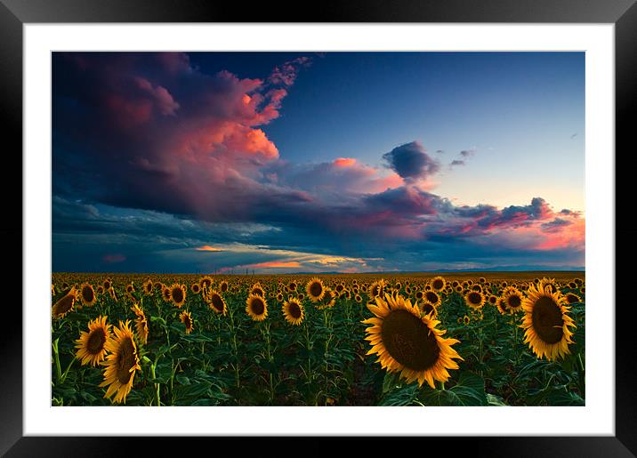 Skies Of A Summer Sunset Framed Mounted Print by John De Bord