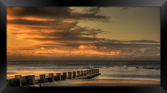 Rhyl Beech Framed Print by allen dutton