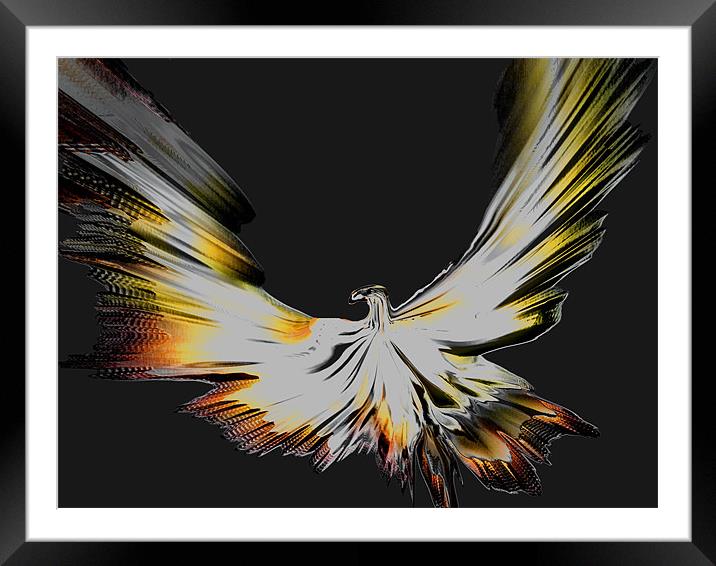 Fly On The Wind Framed Mounted Print by Barbara Schafer