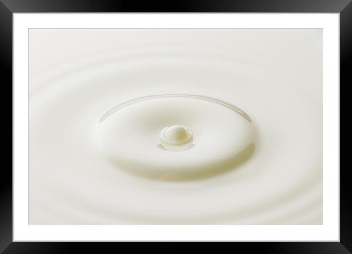 Milk Droplet Framed Mounted Print by Malcolm Wood