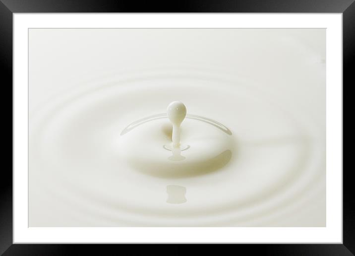 Milk Splash Framed Mounted Print by Malcolm Wood