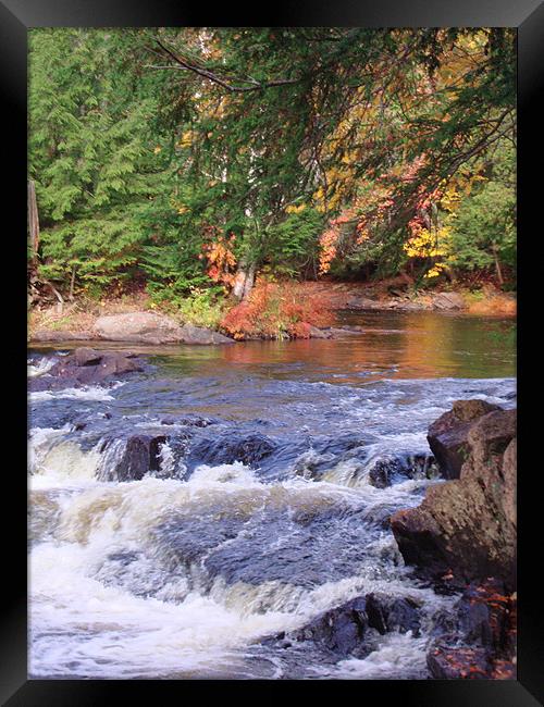 Autumn Glory at Oxtongue River Rapids Framed Print by Donna-Marie Parsons