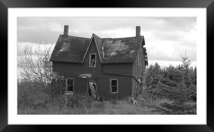 Abandoned and Falling Framed Mounted Print by Donna-Marie Parsons