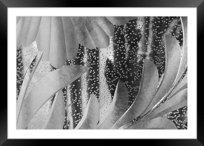 Crystal Framed Mounted Print by Donna-Marie Parsons