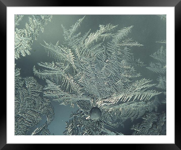 Frost on an old window Framed Mounted Print by Donna-Marie Parsons