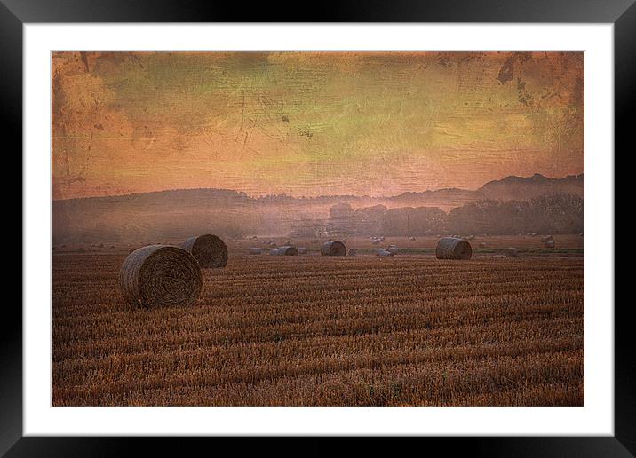 textured misty morning 1 Framed Mounted Print by kevin wise