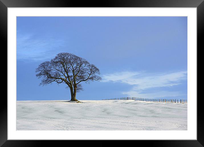 Another blue sky Framed Mounted Print by kevin wise