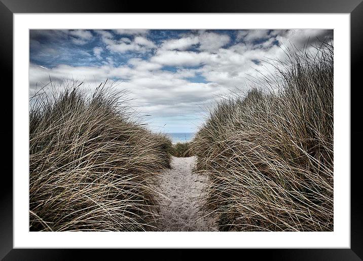 Sandy Pathway Framed Mounted Print by kevin wise