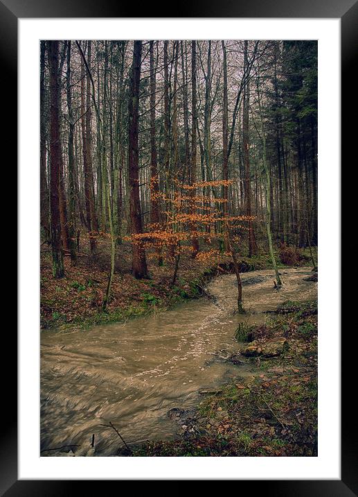 Flooded stream Framed Mounted Print by kevin wise