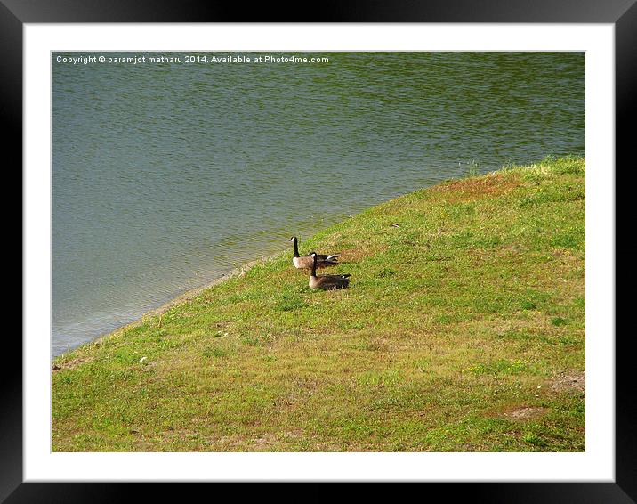 Water Framed Mounted Print by paramjot matharu