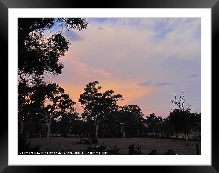 Gumtree Sunset Framed Mounted Print by Luke Newman