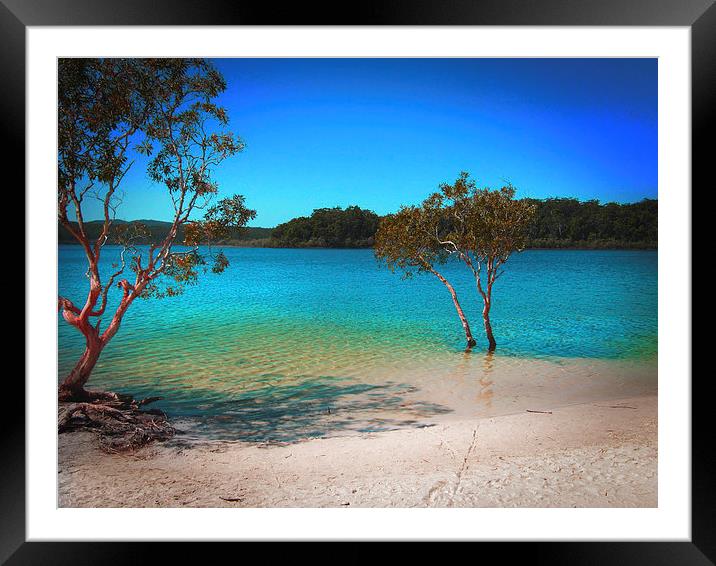 Lake Mckenzie Bliss Framed Mounted Print by Luke Newman