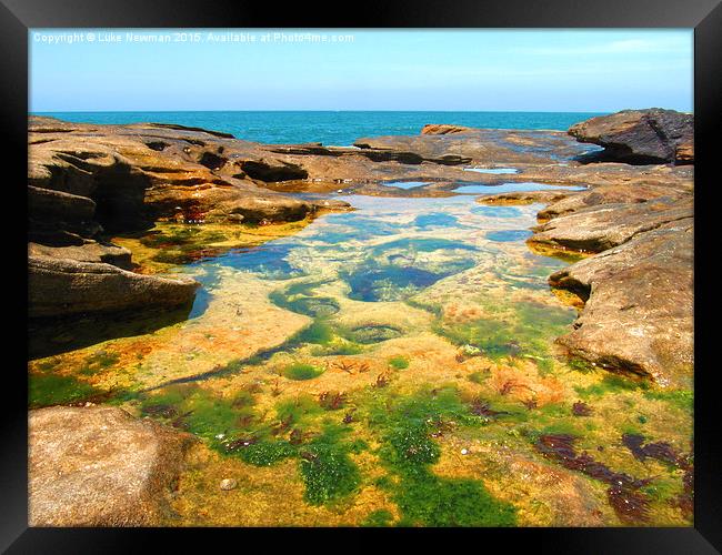  Manly Beach Rockpools Framed Print by Luke Newman