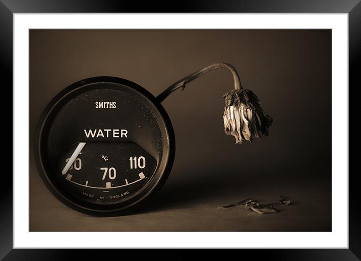 Out Of Water Framed Mounted Print by Fraser Davidson