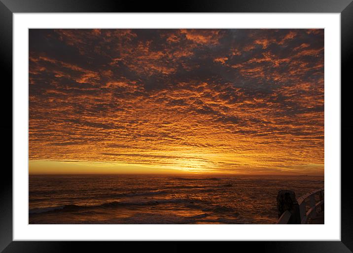Heat Framed Mounted Print by Sue Wotton