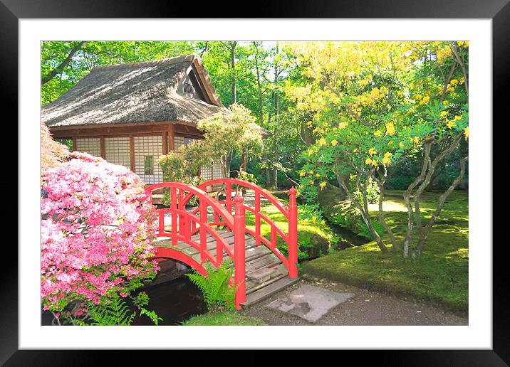 Red Bridge Framed Mounted Print by Ankor Light