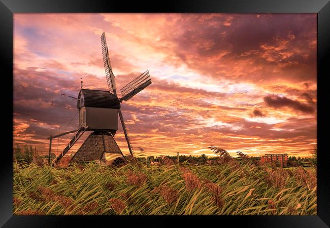 Sunset on the Dutch windmill above the fence of wi Framed Print by Ankor Light