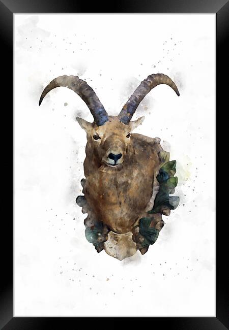 Hunting Trophy hanging on the chalet wall at Galtü Framed Print by Ankor Light