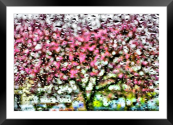Photographic Pointilism Framed Mounted Print by Buster Brown