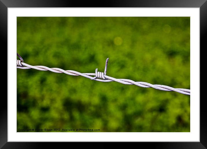 Barbed Wire Simplicity Framed Mounted Print by Buster Brown