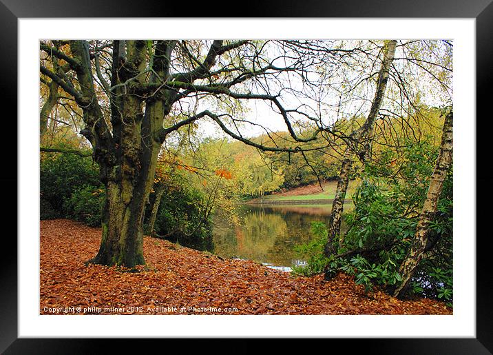 Autumn View In The Park Framed Mounted Print by philip milner
