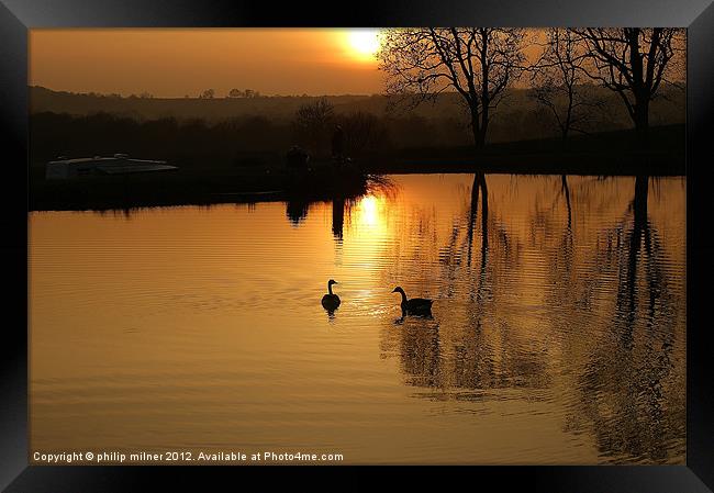 Sunset and Geese Framed Print by philip milner