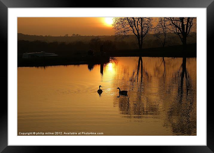 Sunset and Geese Framed Mounted Print by philip milner