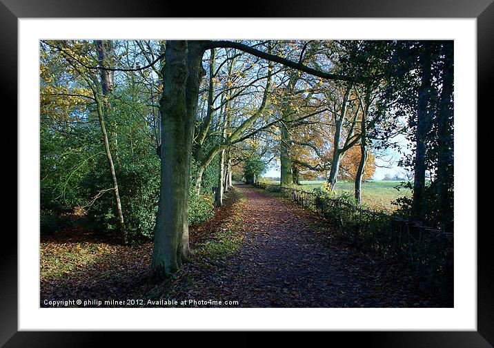 Autumn Walk In The Countryside Framed Mounted Print by philip milner