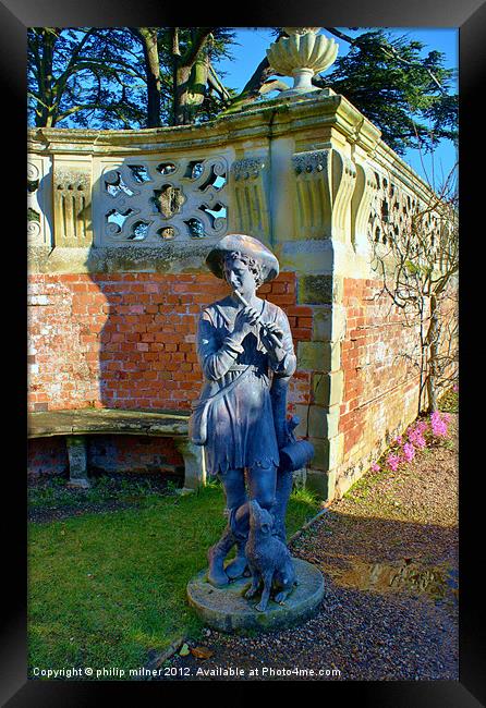 Fiddler In The Garden Framed Print by philip milner